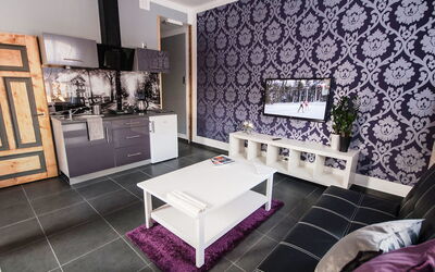 Logement:&nbsp;Fiolet 100.1