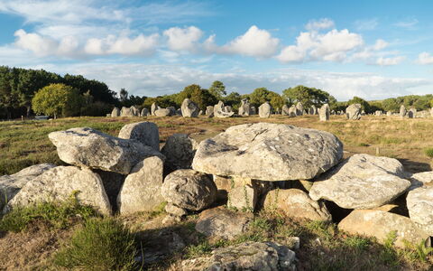 La Trinité sur Mer 110: Nuage, Ciel, Plante, Paysage Naturel, Substrat Rocheux, Arbre, Végétation, Herbe, Paysage, Formation