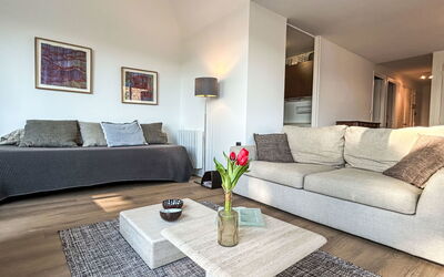 Logement:&nbsp;Plein Sud 110.1