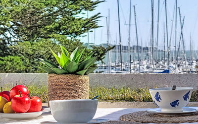 Logement:&nbsp;Plein Sud 110.2