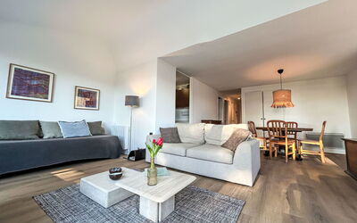 Logement:&nbsp;Plein Sud 110.1