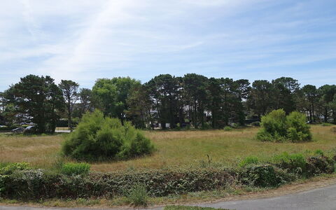 Plein Ciel: Nuage, Ciel, Plante, Écorégion, Paysage Naturel, Arbre, Lot Terre, Végétation, Herbe