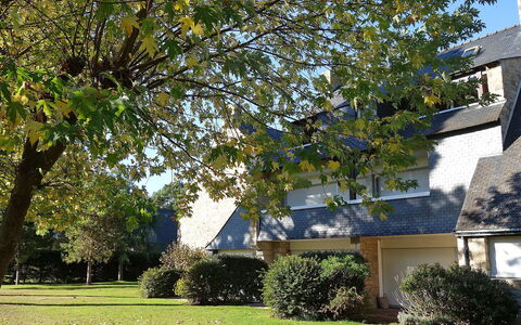 Les Pins: Plante, Bâtiment, Arbre, Ciel, Feuille, La Nature, Ombre, Fenêtre, Végétation, Lumière Du Soleil