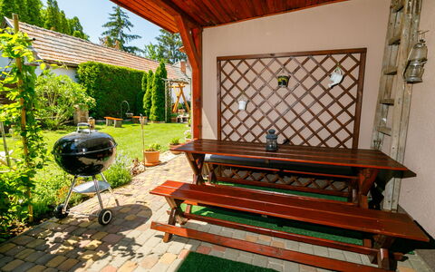 Duetto: Plante, Meubles, Extérieur Banc, Vert, Arbre, Pot De Fleur, Bois, Mobilier De Jardin, Ombre, Maison