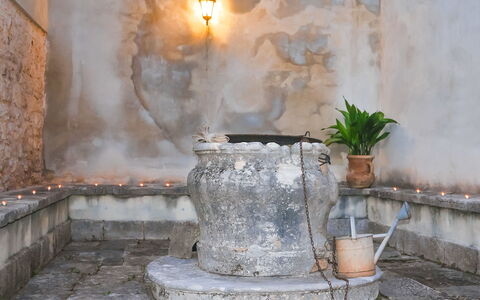 Pula Vodnjan 103: Plante, Pot De Fleur, Lumière, Éclairage, Plante D'Appartement, Design Intérieur, Bâtiment, Matin, Bois, Chaleur