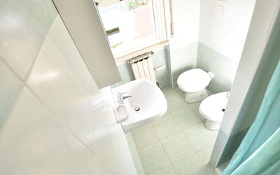 Green Marine, Palme, Ismare 320.1: Luminaire Plomberie, Toilette, Siège De Toilette, Lavabo, Salle De Bains, Robinet, Bâtiment, Maison, Design Intérieur