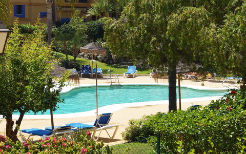 Los Almendros i: L'Eau, Plante, Propriété, Piscine, Fenêtre, Arbre, Bâtiment, Mobilier De Jardin, Ombre, Loisir