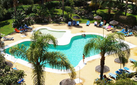 Los Almendros i: Plante, L'Eau, Arbre, Bleu Azur, Piscine, Arecales, Loisir, Suppression Des Plantes Ligneuses, Ombre, Été