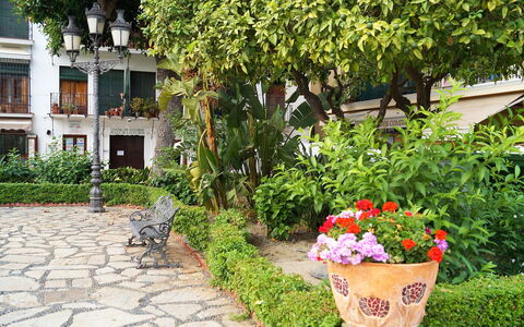 Plaza de Las Flores: Plante, Fleur, Pot De Fleur, Botanique, Bâtiment, Arbre, Herbe, Fenêtre, Arbuste, Plante D'Appartement