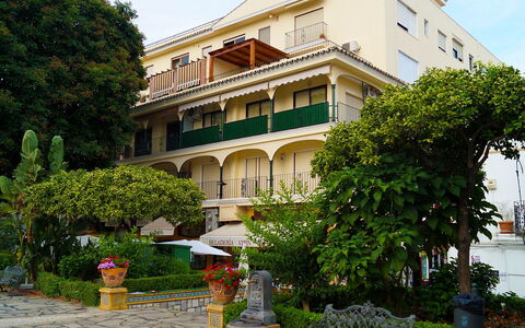 Plaza de Las Flores: Plante, Ciel, Bâtiment, Propriété, Fenêtre, Arbre, Maison, Design Urbain, Pot De Fleur, Immobilier
