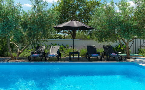 Neja: L'Eau, Plante, Ciel, Propriété, Meubles, Piscine, Bleu Azur, Arbre, Ombre, Parapluie