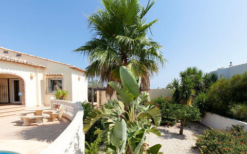 Capi: Propriété, Végétation, Immobilier, Arbre, Maison, Plante, Domicile, Botanique, Bâtiment, Biens