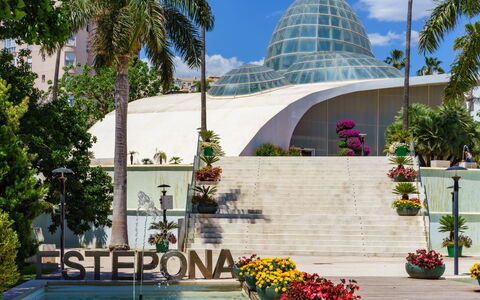 Estepona 108: Fleur, Plante, Ciel, L'Eau, Jour, Propriété, Bâtiment, Pot De Fleur, Botanique, Arbre