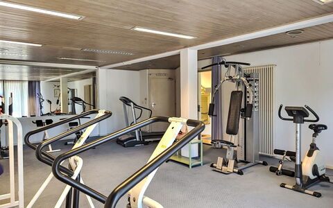 Bissone 50: Machine D'Exercice Physique, Equipement D'Exercice, Bâtiment, Gym, Design Intérieur, Sol, Sol