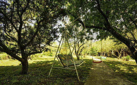 Anica: Plante, Communauté Des Plantes, Arbre, Paysage Naturel, Ombre, Lot Terre, Herbe, Prairie, Plaine