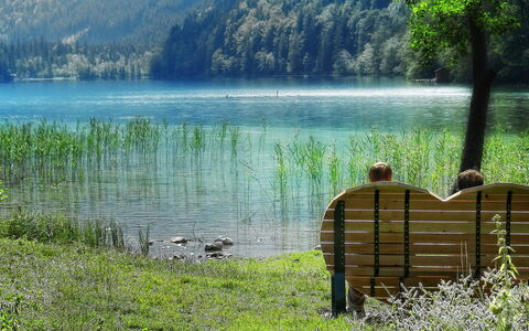 Eisenerz 100: L'Eau, Plante, Paysage Naturel, Arbre, Lac, Montagne, Végétation, Herbe, Bois, Cours D'Eau