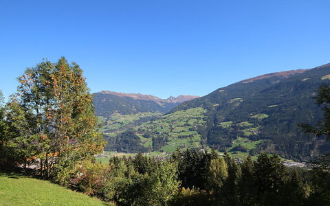 Aschau im Zillertal 330: Ciel, Montagne, Plante, Communauté Des Plantes, Écorégion, Paysage Naturel, Environnement Naturel, Arbre, Montagnes, Pente