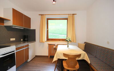 Logement:&nbsp;Dornauer 330.1