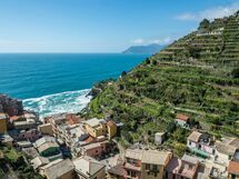 Manarola Seaview