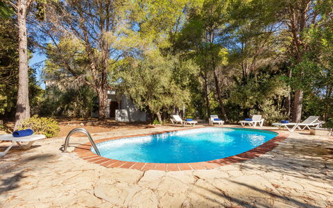 Villa Pinos: Bleu, Arbre, Bois, Piscine, Ombre, Mobilier De Jardin, Recours, Aménagement Paysager, Eco Hôtel, Arrière-Cour