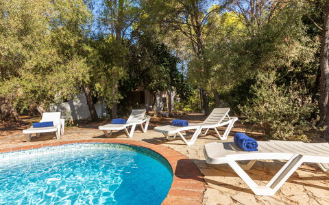 Villa Pinos: Bleu, Piscine, Mobilier De Jardin, Recours, Ombre, Chaise, Biens, Eco Hôtel, Aménagement Paysager, Hacienda