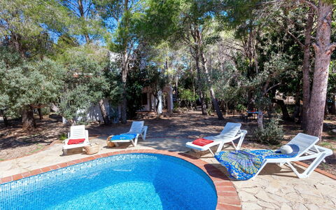 Villa Pinos: L'Eau, Plante, Propriété, Meubles, Piscine, Bleu Azur, Bleu, Arbre, Ombre, Chaise