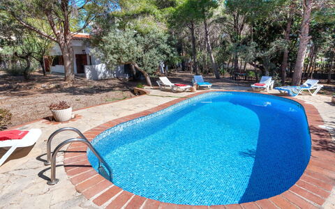 Villa Pinos: L'Eau, Plante, Piscine, Bleu, Arbre, Mobilier De Jardin, Ombre, Loisir, Composite, Des Loisirs