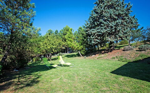 Tribolina: Arbre, Propriété, Ciel, Jour, Paysage Naturel, Herbe, Lot Terre, Pelouse, Jardin, Immobilier