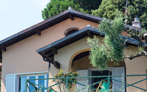 Villa Sara: Plante, Bâtiment, Propriété, Ciel, Arbre, Fenêtre, Architecture, Maison, Bois