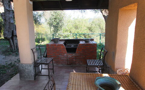 Villa Sara: Propriété, Meubles, Plante, Chaise, Bois, Ombre, Arbre, Design Intérieur, Sol, Sol