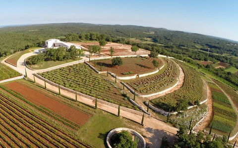 Ulika: Ciel, Propriété, Plante, Arbre, Lot Terre, Paysage, Zone Rurale, Agriculture, Design Urbain, Champ