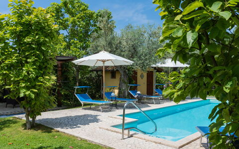 Olive Grove Sabina: Plante, Bleu Azur, L'Eau, Botanique, Ombre, Mobilier De Jardin, Arbre, Ciel, Piscine, Loisir