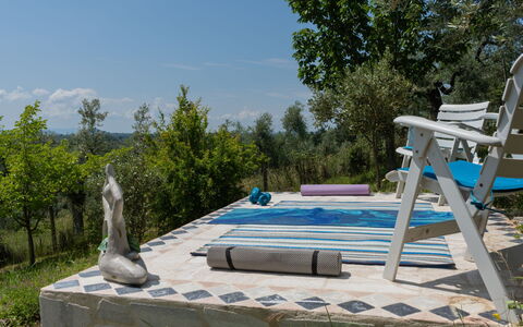 Olive Grove Sabina: Plante, Ciel, Communauté Des Plantes, Mobilier De Jardin, Nuage, Arbre, Piscine, Balancelle, Ombre, Bois