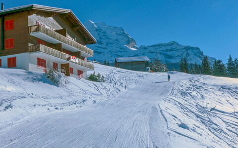 Tschingelhorn Apt. R: Ciel, Bâtiment, Montagne, Fenêtre, Neige, Pente, Arbre, Maison, Glacial Relief, Terrain