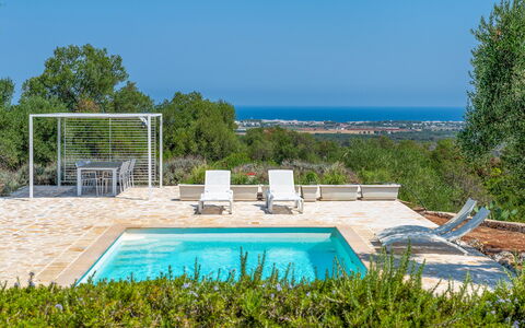 Villa Butterfly: Bleu, Jardin, Ombre, Aménagement Paysager, Conception, Recours, Mobilier De Jardin, Arrière-Cour, Eco Hôtel