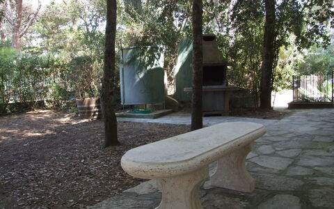 Villa Pineta: Banc, Propriété, Meubles, Arbre, Table, Extérieur Banc, Herbe, Pièce, Immobilier, Plante