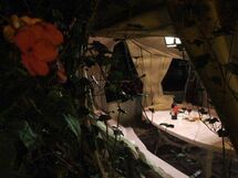 Logement:&nbsp;Camelia