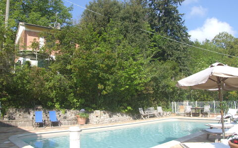 Villa La Quercia: L'Eau, Plante, Ciel, Bâtiment, Nuage, Bleu Azur, Piscine, Arbre, Mobilier De Jardin, Ombre