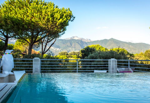 Marina Dei Ronchi Prestige: La Nature, L'Eau, Piscine, Propriété, Ciel, Jaune, Arbre, Immobilier, Vacances, Loisir