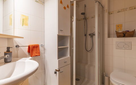 Bouquetins: Tete De Douche, Propriété, Luminaire Plomberie, Salle De Bains, Robinet, Douche, Violet, Bar De Douche, Maison