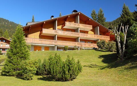 Cristel 2: Ciel, Plante, Bâtiment, Arbre, Paysage Naturel, Fenêtre, Maison, Lot Terre, Bois, Mélèze