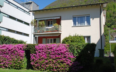 Altorfer: Fleur, Plante, Ciel, Bâtiment, Propriété, Fenêtre, Maison, Herbe, Immobilier, Couverture De Sol