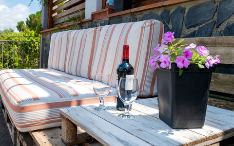 Ginesteres: Fleur, Plante, Propriété, Meubles, Table, Textile, Mobilier De Jardin, Bois, Design Intérieur, Pot De Fleur
