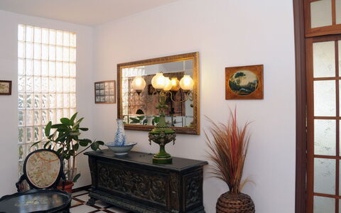 Urb.maricel: Plante, Cadre, Propriété, Pot De Fleur, Meubles, Plante D'Appartement, Bâtiment, Fenêtre, Table, Bois