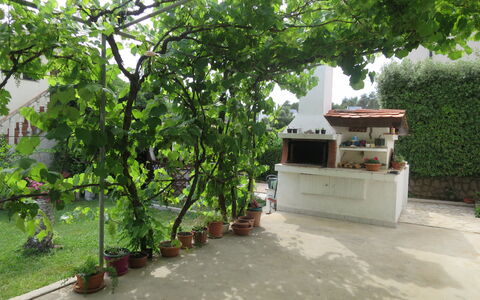 Lidija: Plante, Pot De Fleur, Végétation, Plante D'Appartement, Arbre, Suppression Des Plantes Ligneuses, Ombre, Bâtiment, Loisir, Design Urbain