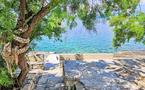 Korčula Prigradica 107: L'Eau, Plante, Bleu Azur, Paysage Naturel, Bois, Arbre, Lac, Cours D'Eau, Banque, Tronc