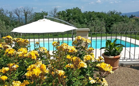 Villa Gaville: Fleur, Jardin, Plante, Botanique, Jaune, Arbuste, Belvédère, Canopée, Jardin Botanique, Printemps