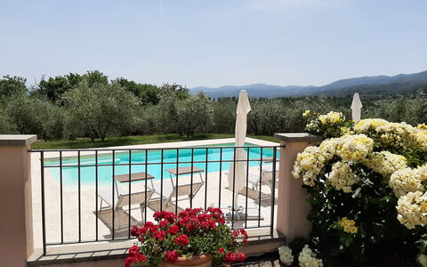 Villa Gaville: Fleur, Plante, Ciel, L'Eau, Pot De Fleur, Plante D'Appartement, Arbre, Paysage, Immobilier, Rectangle