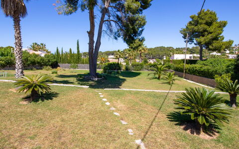 Cala Vista: Plante, Ciel, Propriété, Communauté Des Plantes, Arbre, Paysage Naturel, Végétation, Lot Terre, Ombre, Arecales
