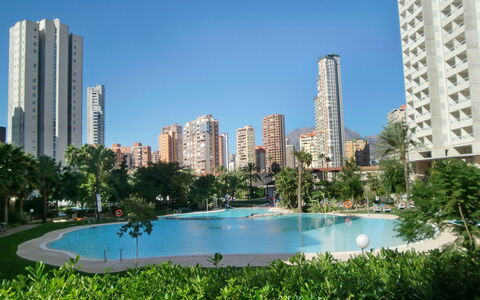 Benidorm 700: L'Eau, Ciel, Bâtiment, Skyscraper, Plante, Jour, Propriété, Piscine, Arbre, Bleu Azur